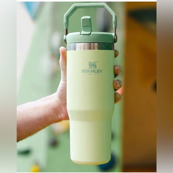 Stanley Other - Stanley Mint Green Travel Mug